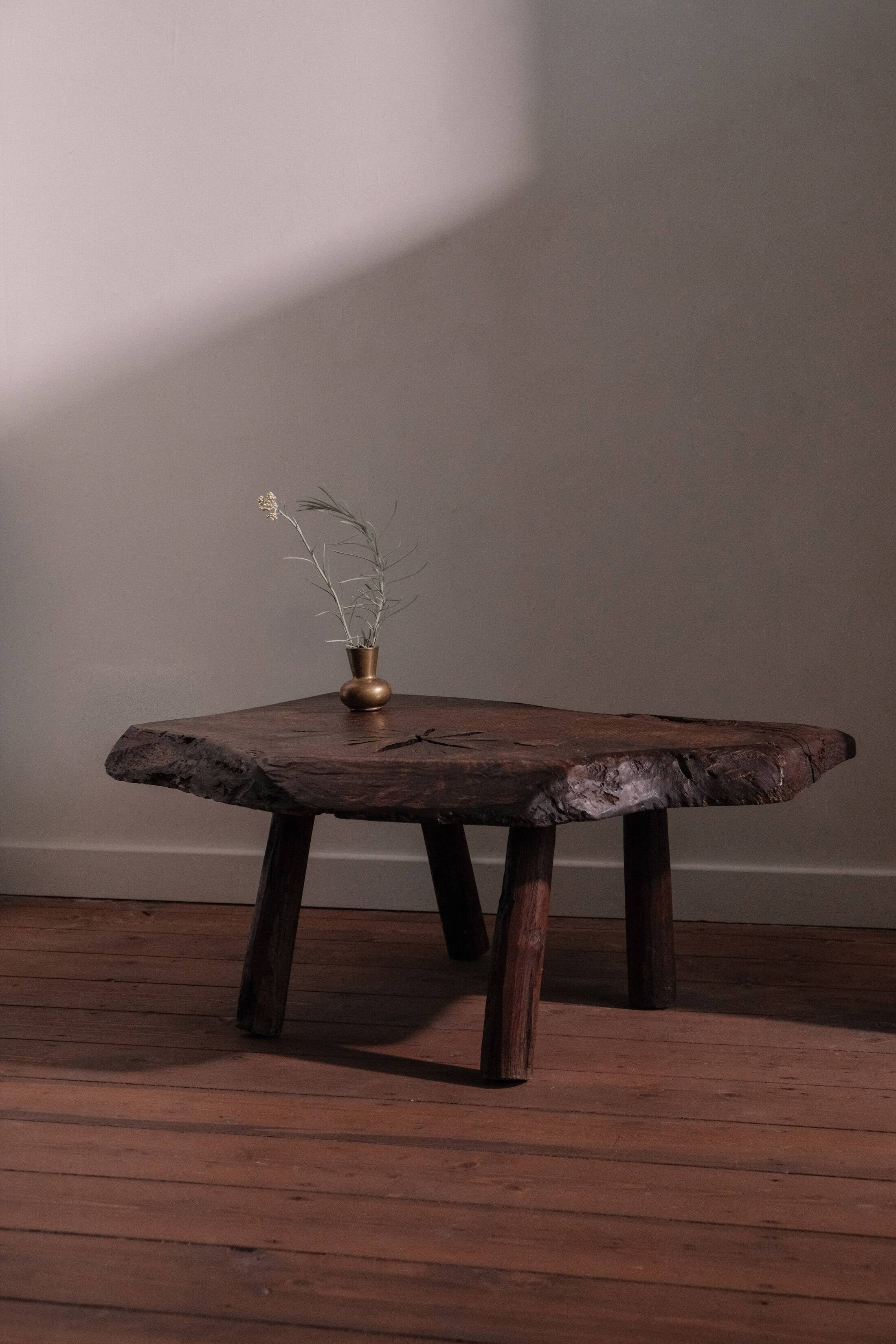 Coffee table in solid wood with organic shape