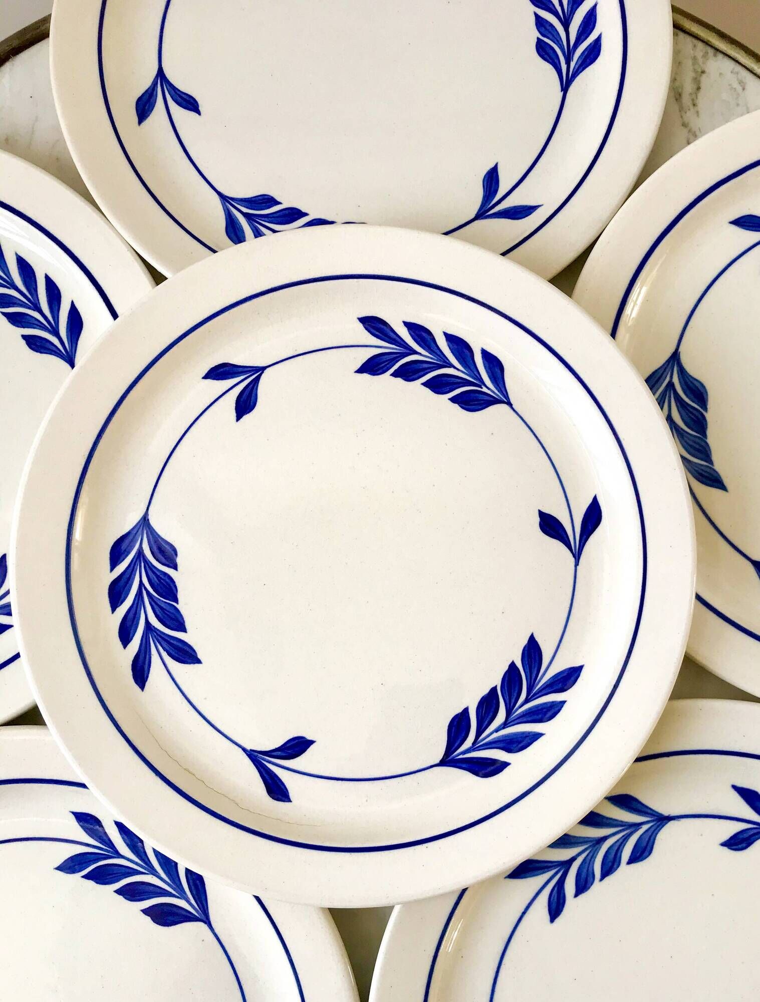 set of 6 flat plates in Terre de Fer Salins Jenny model early 20th century