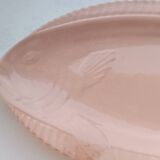 Fish slushie dish