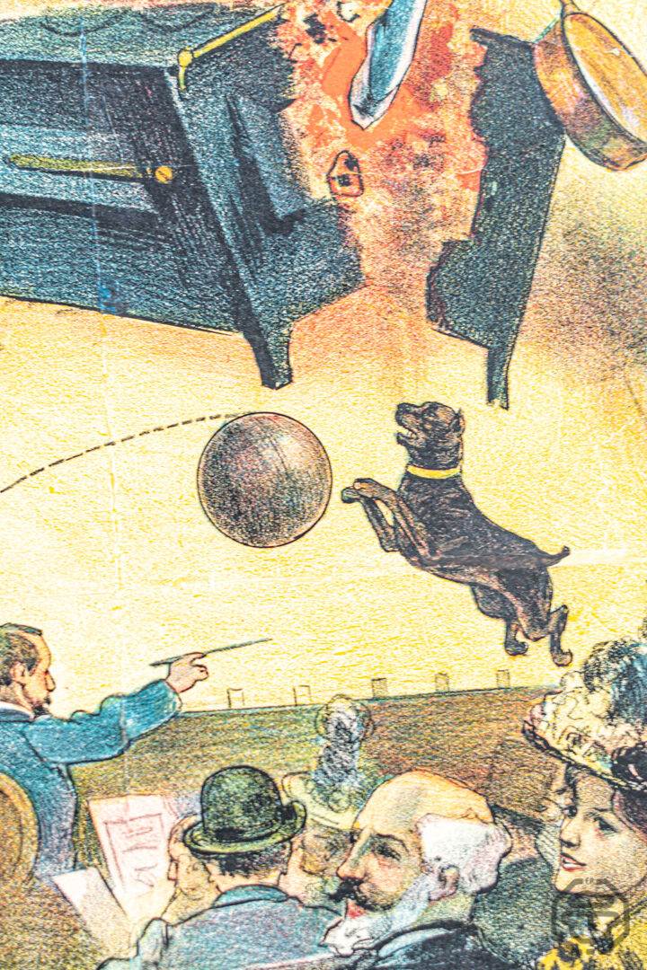 Egyo and Luigi circus poster