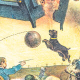 Egyo and Luigi circus poster