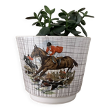 Cache pot
