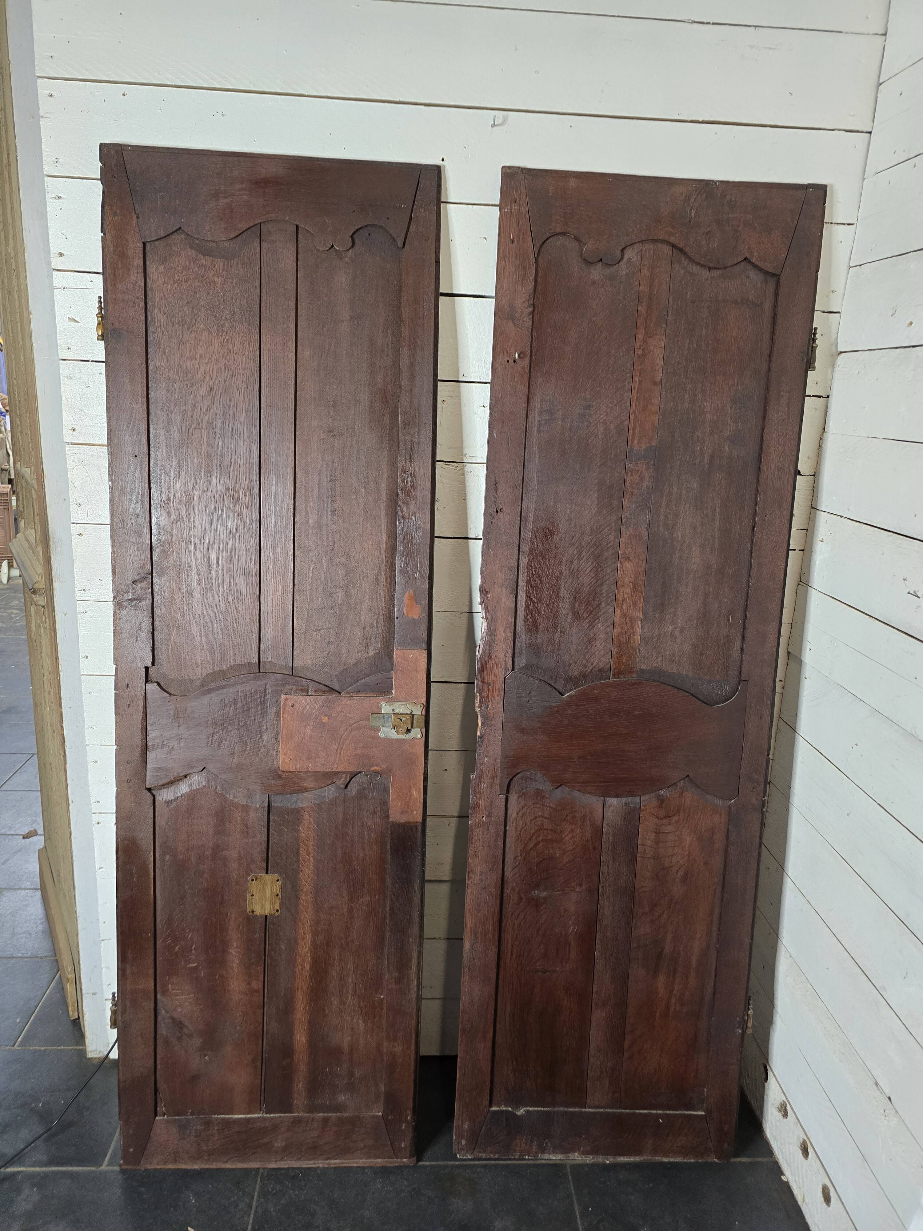 Pair of 19th century oak doors