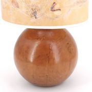 Lampe boule en bois, abat jour avec fleurs séchées