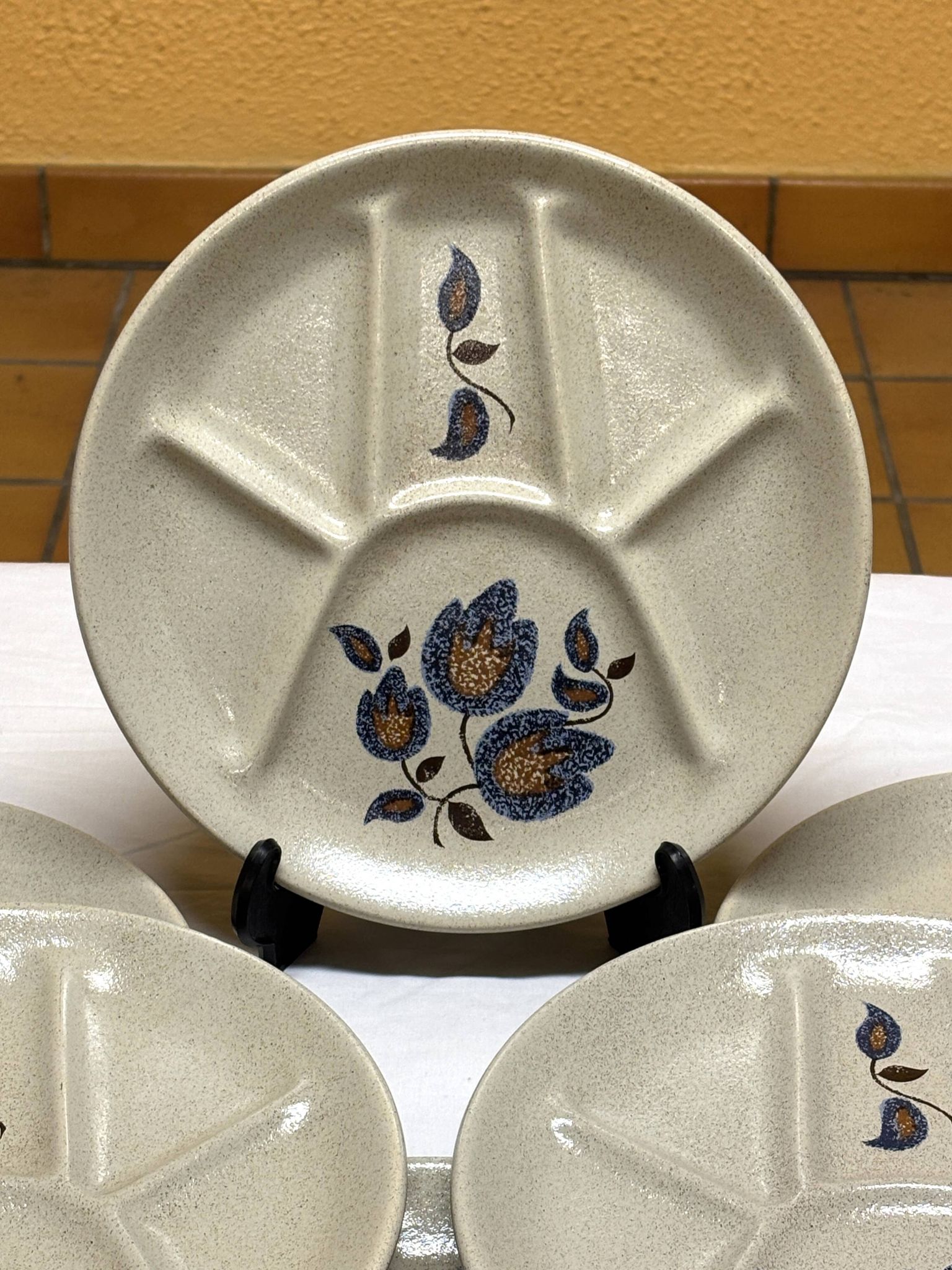 Saint-Amand Sologne - 6 Assiettes à fondue compartimentées