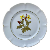 Plate decoration medicinal plants Charolles n2
