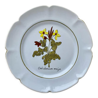 Plate decoration medicinal plants Charolles n2