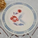Old flat plates mismatched in earthenware