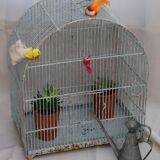 Former birdcage