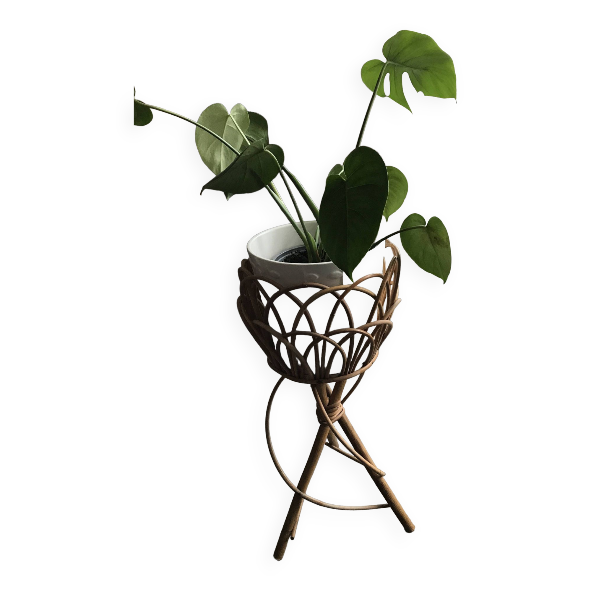 Rattan plant holder