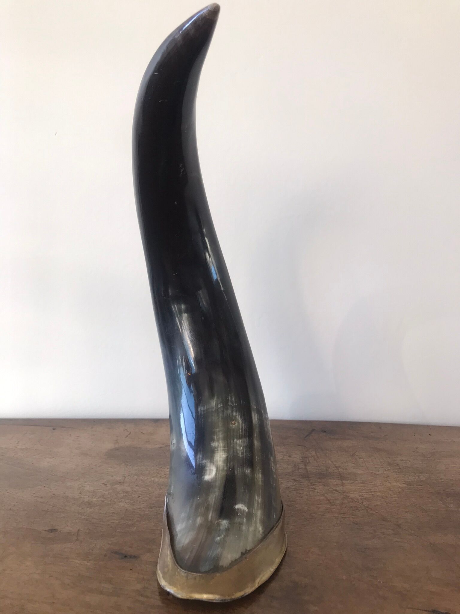 Polished beef horn on brass base