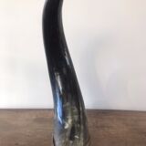 Polished beef horn on brass base