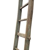 Old tree trunk ladder
