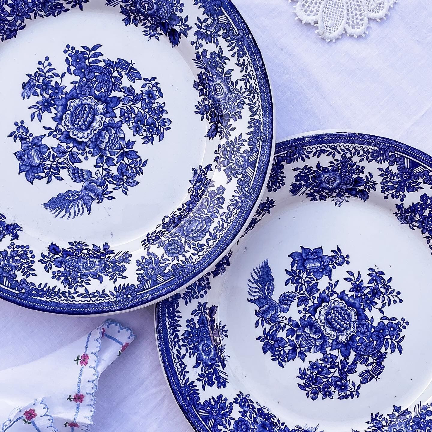 Duo of 2 flat plates Portuguese iron earth