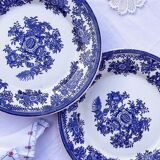 Duo of 2 flat plates Portuguese iron earth
