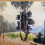 landscape