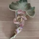 Bouquet holder, wall vase