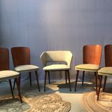 Set of 4 chairs and 1 armchair design 50s