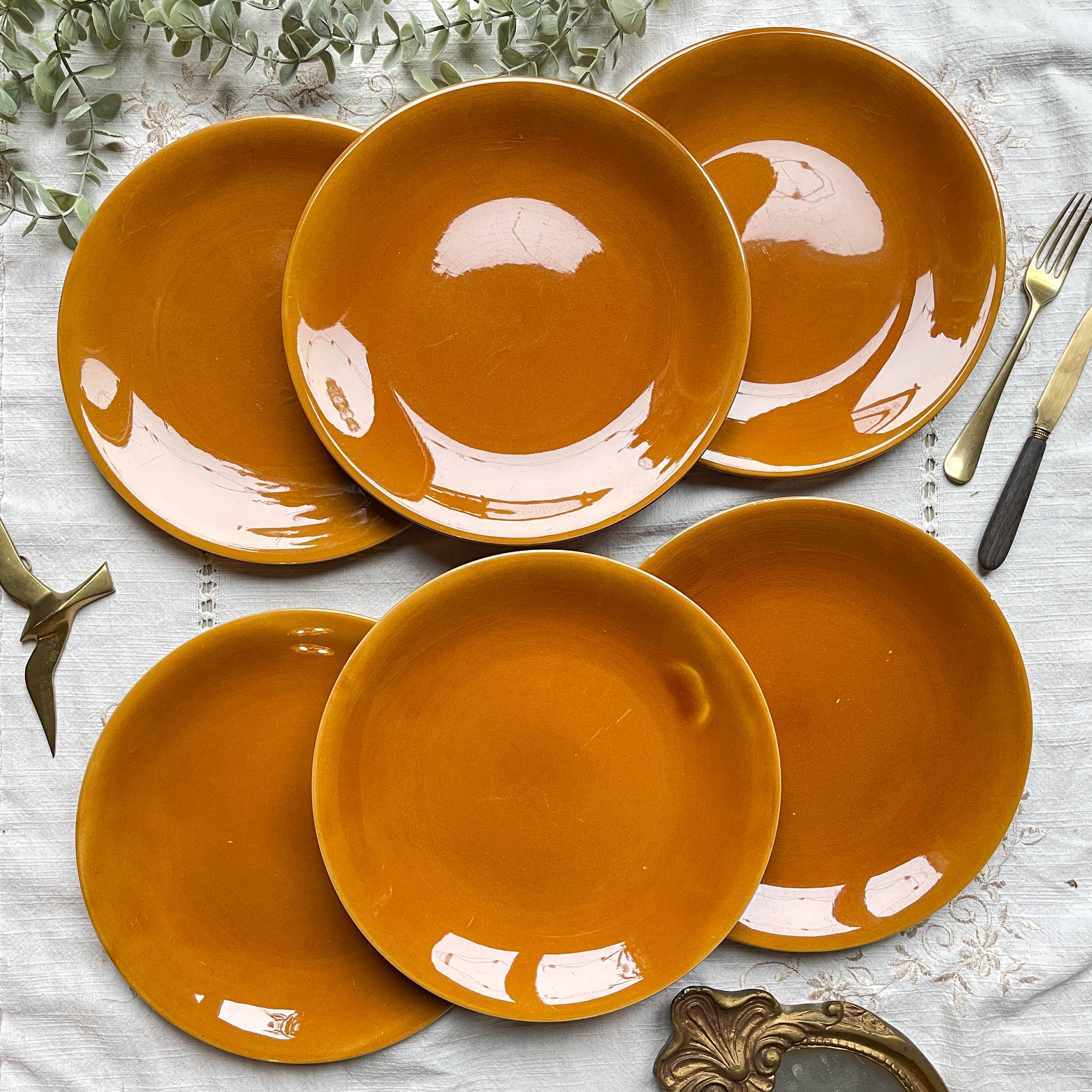 6 Vintage Longchamp amber earthenware plates, France 1970