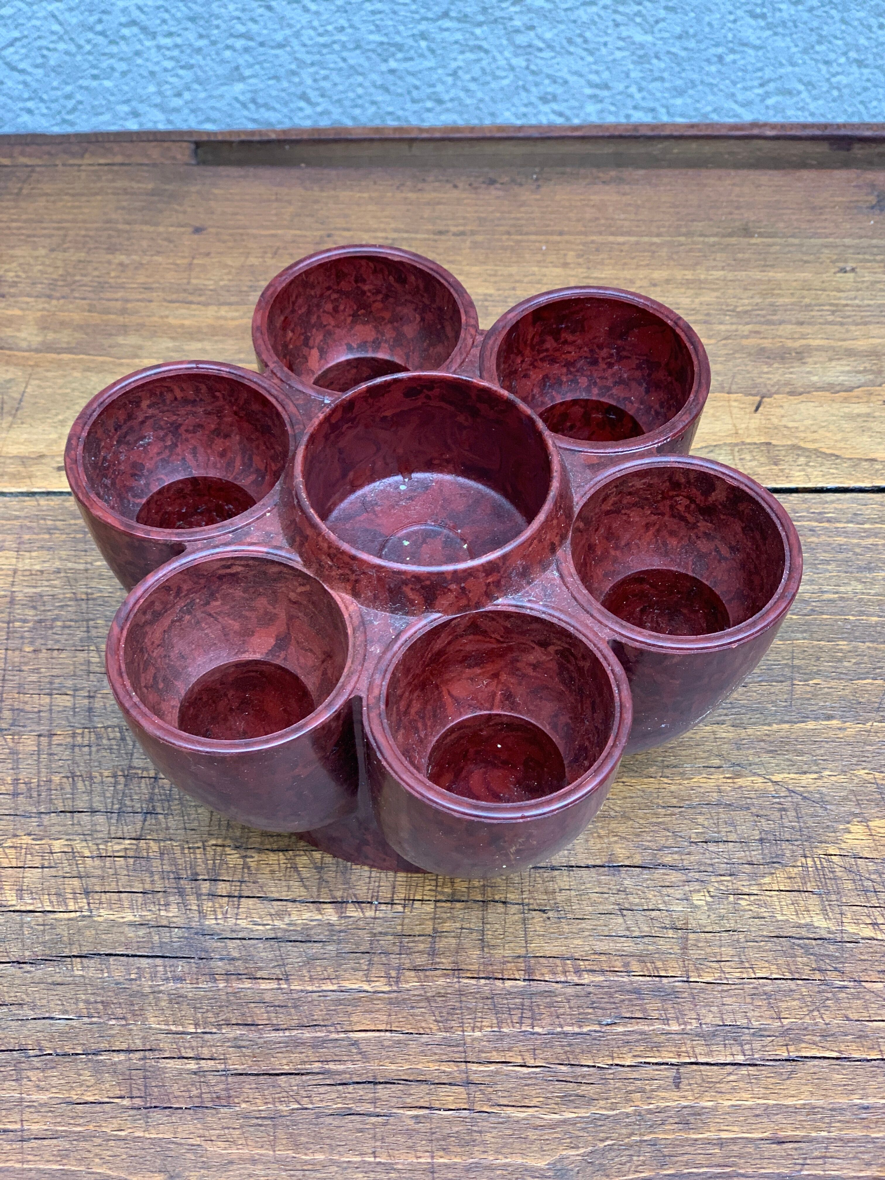 Cockroach in bakelite