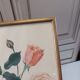 Gravure rose