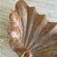Coupe bénitier ancienne en bois sculpté