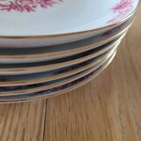 6 antique Hertel Jacob plates