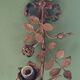 Bronze and gilded metal wall sconce in Louis XVI style.