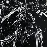 Rosine NUSIMOVICI, Untitled (Poacea I), 1980. Black and white silver print