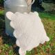 Retro Provence cushion