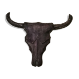 Buffalo head