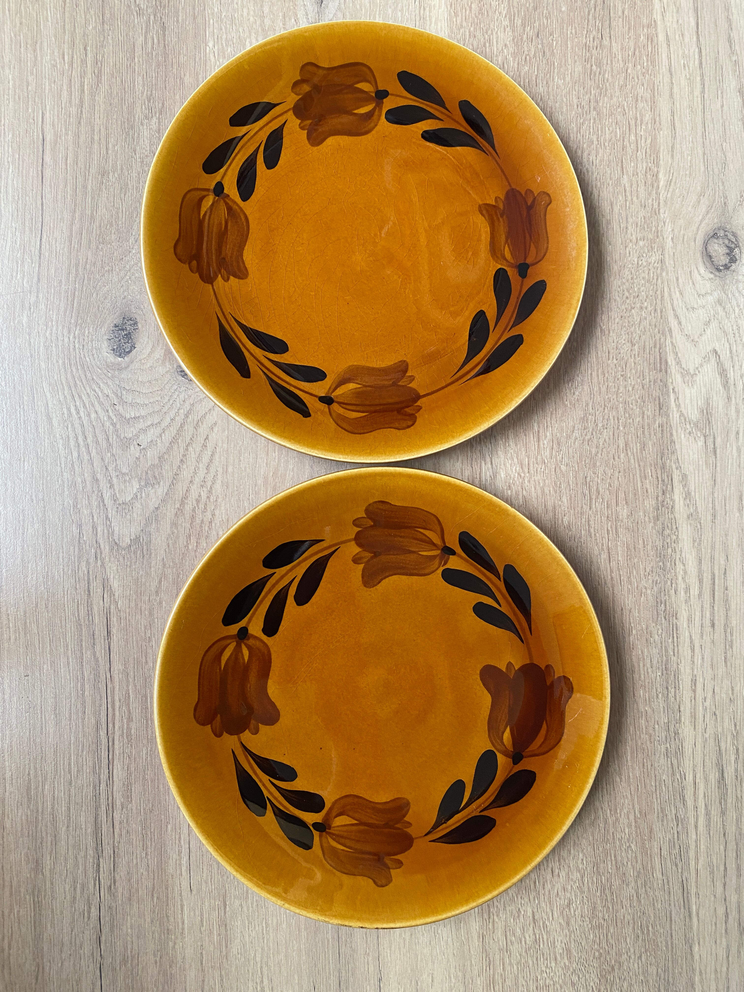 Set of 2 plates in earthenware of St Amand
