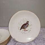 6 flat plates Gien Marly "birds of the forests"