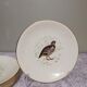 6 assiettes plates Gien Marly "oiseaux des forêts"