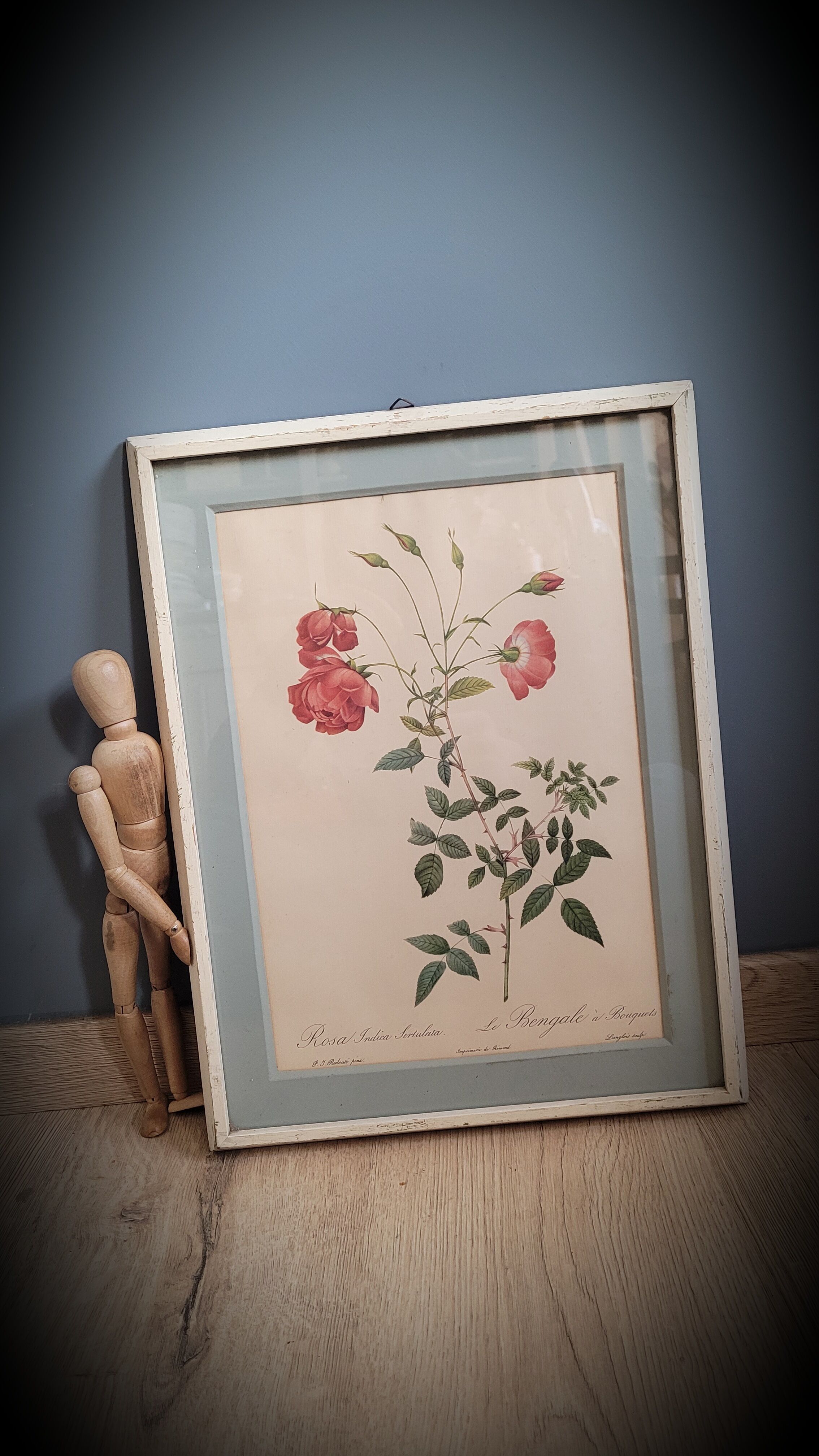 Authentic and ancient lithograph of Redouté representing a Bengal rose with bouquets (in a c