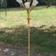 Vintage floor lamp in gilded brass with 5 glass tulips from the 50s