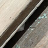 Vintage raw wood Indian coffee table