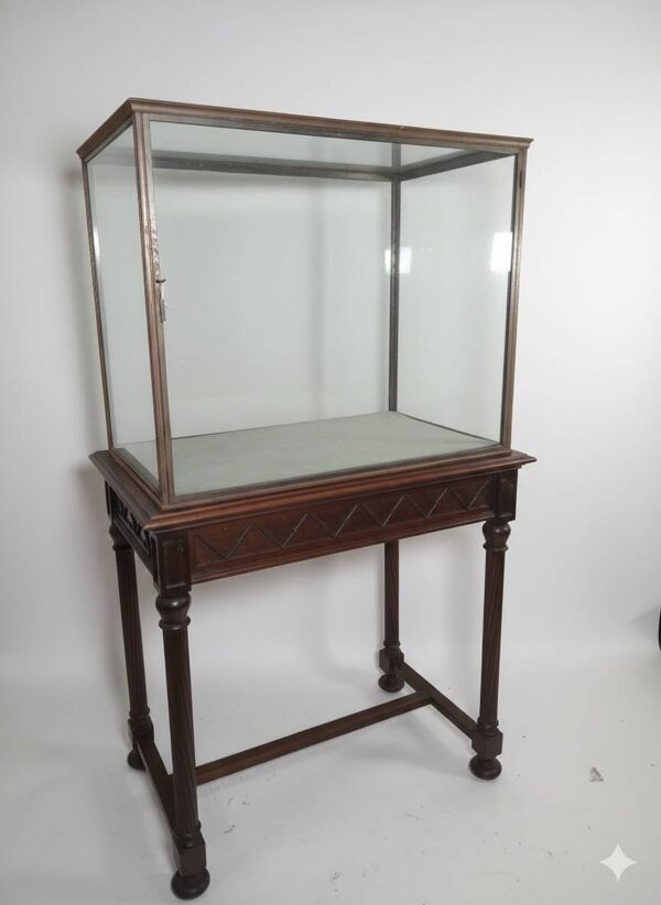 Ancienne vitrine d'exposition Style Néogothique 19 eme