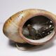 Ceramic lamp signed ESCALA vintage 60's 70's