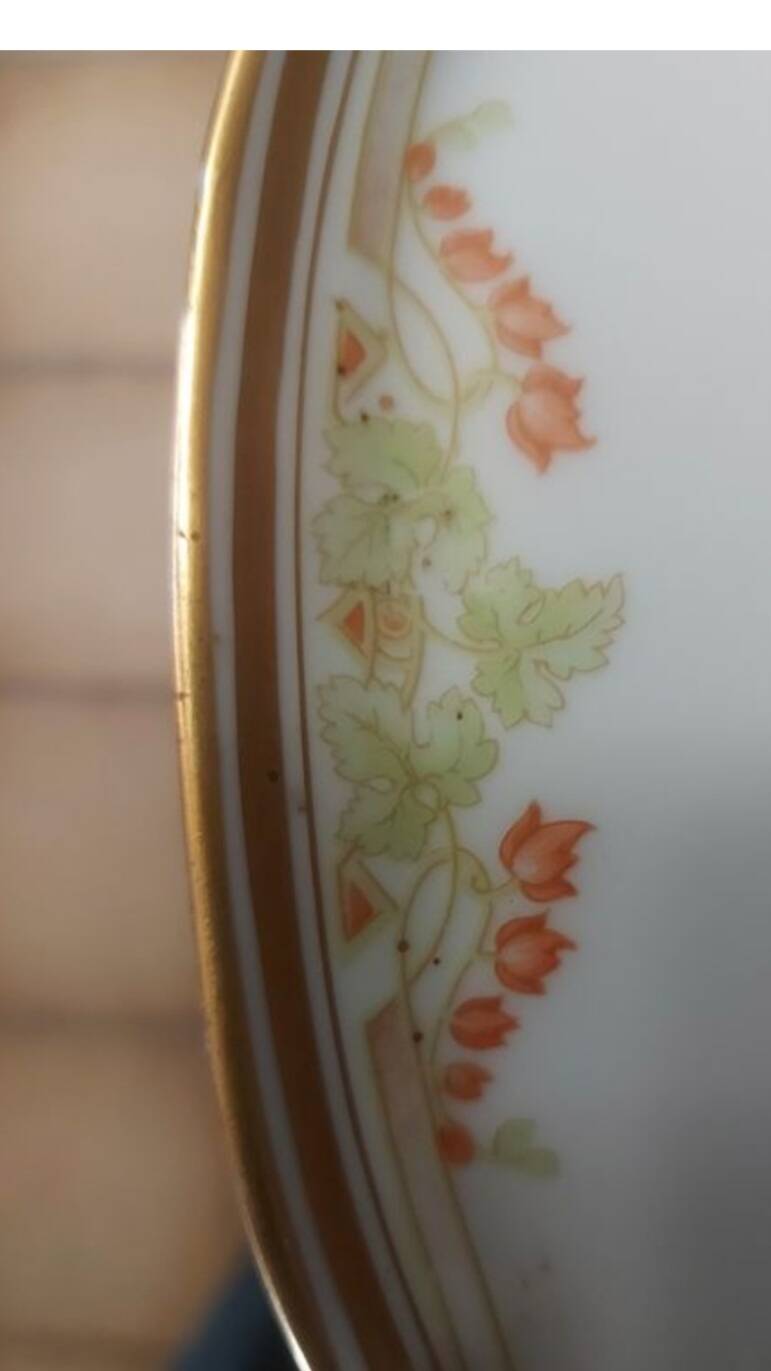 Large Limoges faience dish Bawo & Dotter Elite Works
