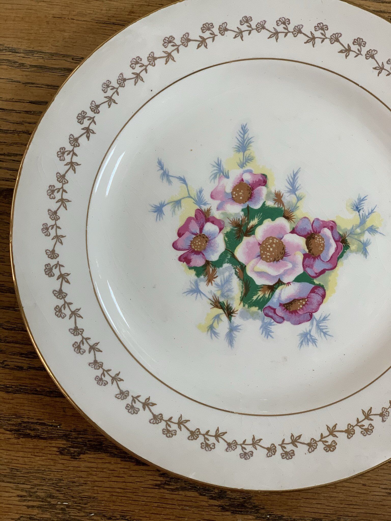 Digoin Sarreguemines plate plate in earthenware