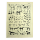 Old engraving 1928 - Horse by A. Millot - vintage equestrian print