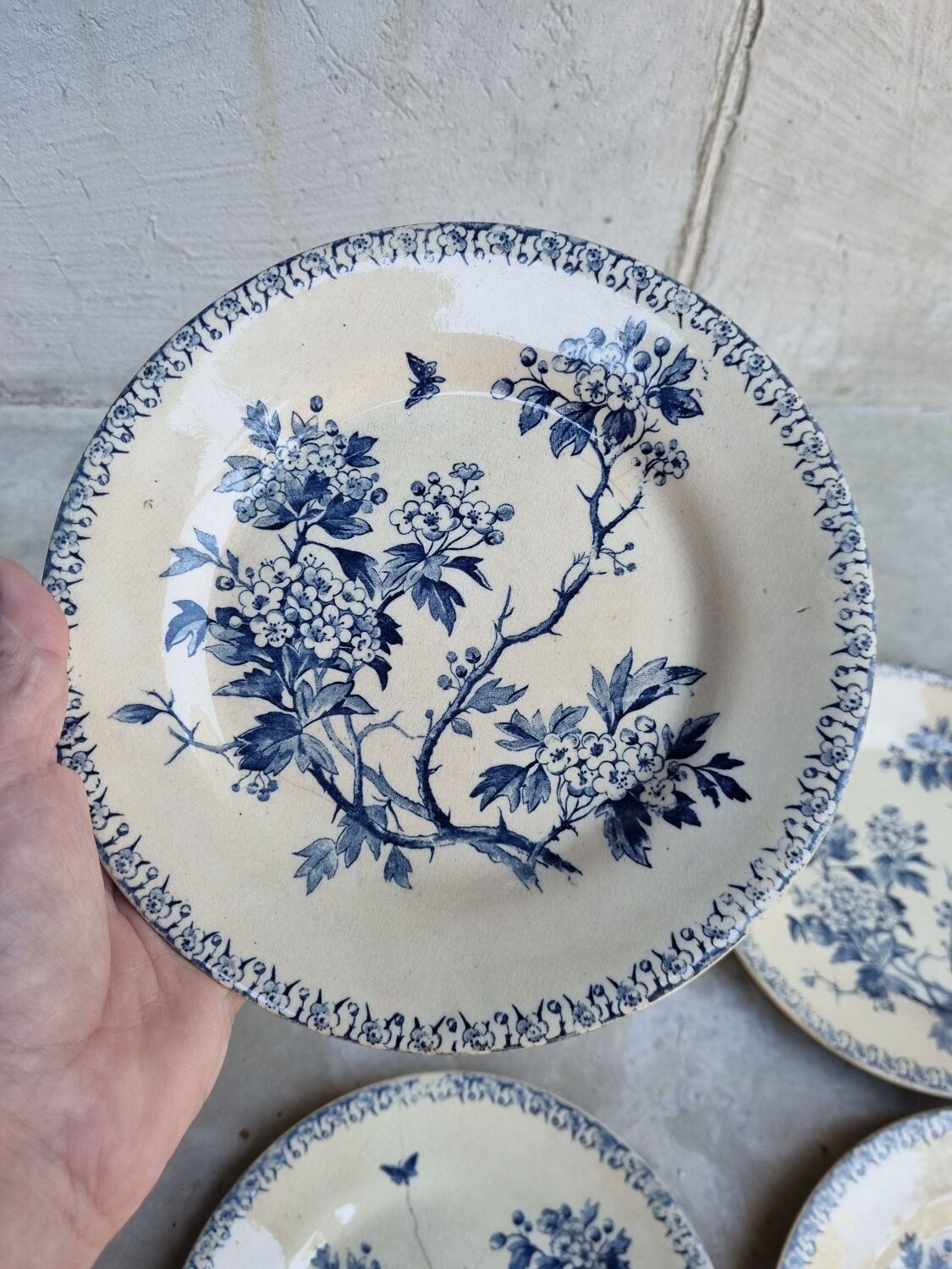 Gien earthenware plates, Iron earth