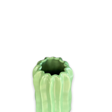 Cactus Vase By Asa Selection