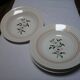 6 deep plates Alpes / Givors