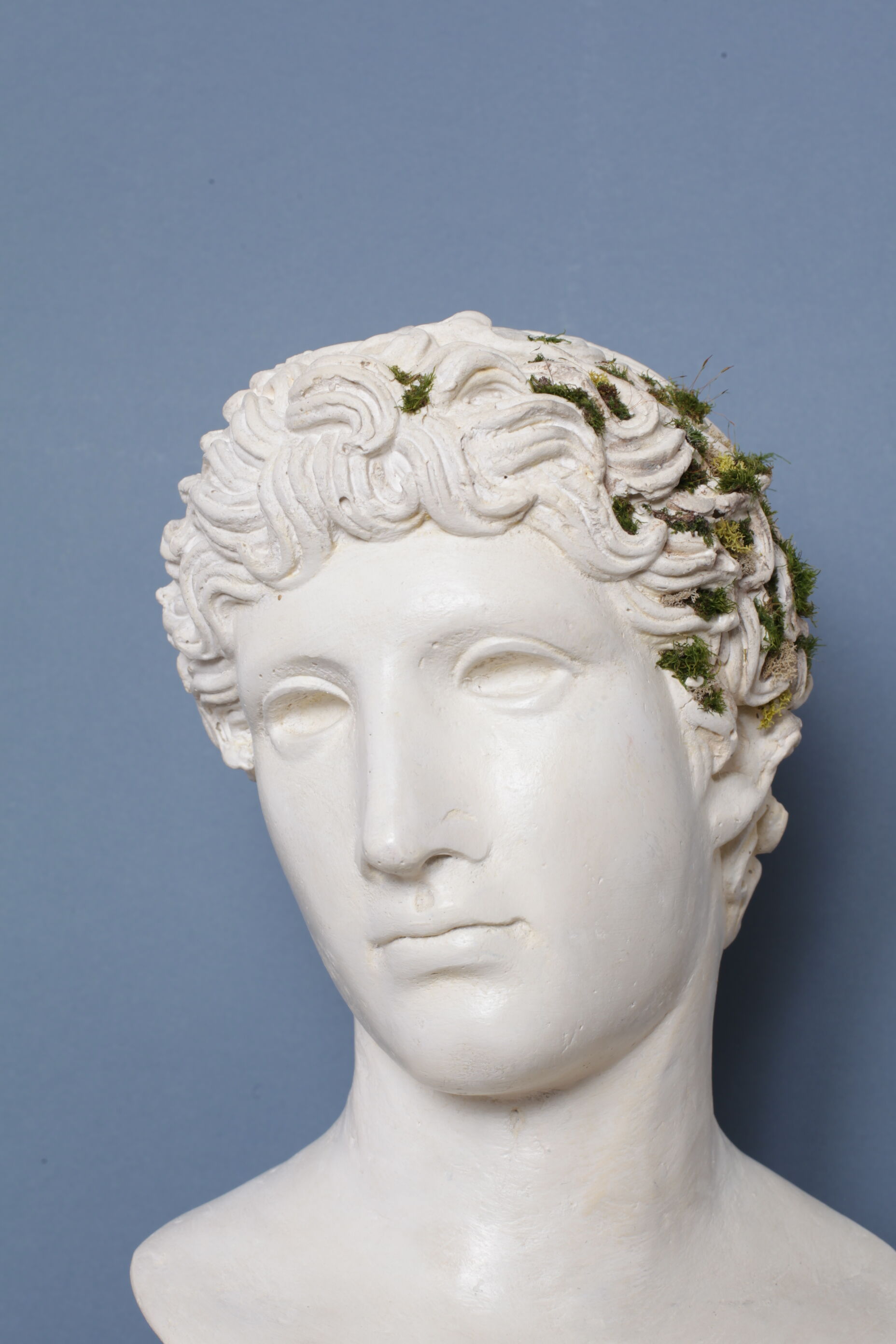 Roman head in waxed plaster