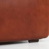 Brown leather 2-seater sofa Coronado by Tobia Scarpa for B&B Italia, Italy ca. 1960