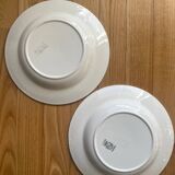 Digouin soup plates