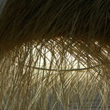 Suspension in palm leaf