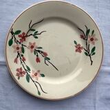 Lot de 6 assiettes  plates anciennes  variées